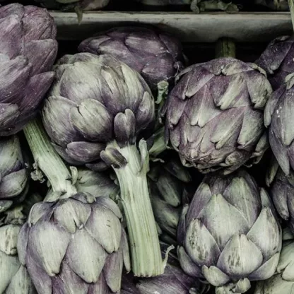 artichoke_1200x628.jpg