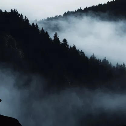 bear-silhouette-1200x628.jpg