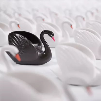 black-swan-cm.jpg
