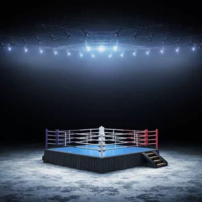 boxing-ring-1200-x-628.jpg