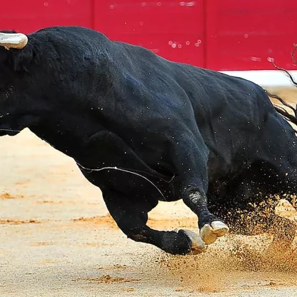 bull-1200x628.jpg