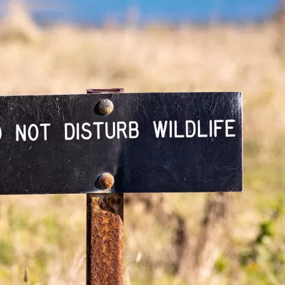 do-not-disturb_blog.jpg