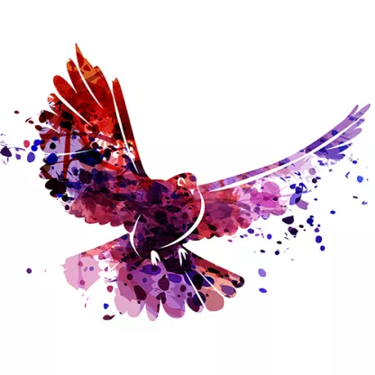 dove-500x500.jpg