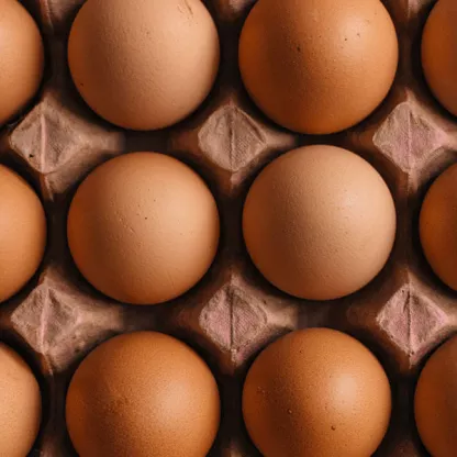 eggs_new_blog.jpg