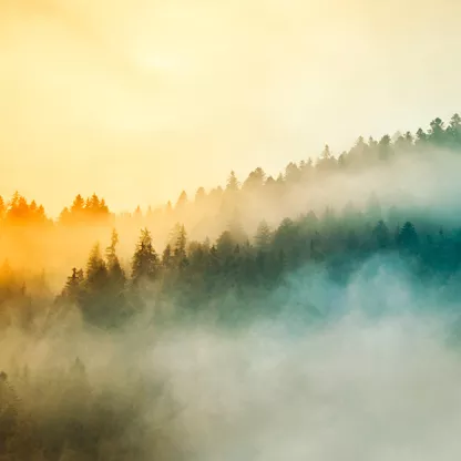 sunrise-in-forested-1200x628.jpg